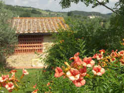 shed for drying vin santo grapes